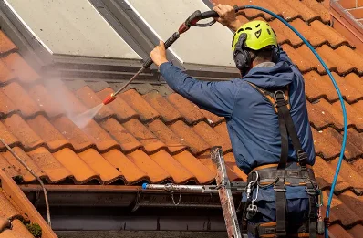 Démoussage et hydrofuge de toiture à Lamillarié